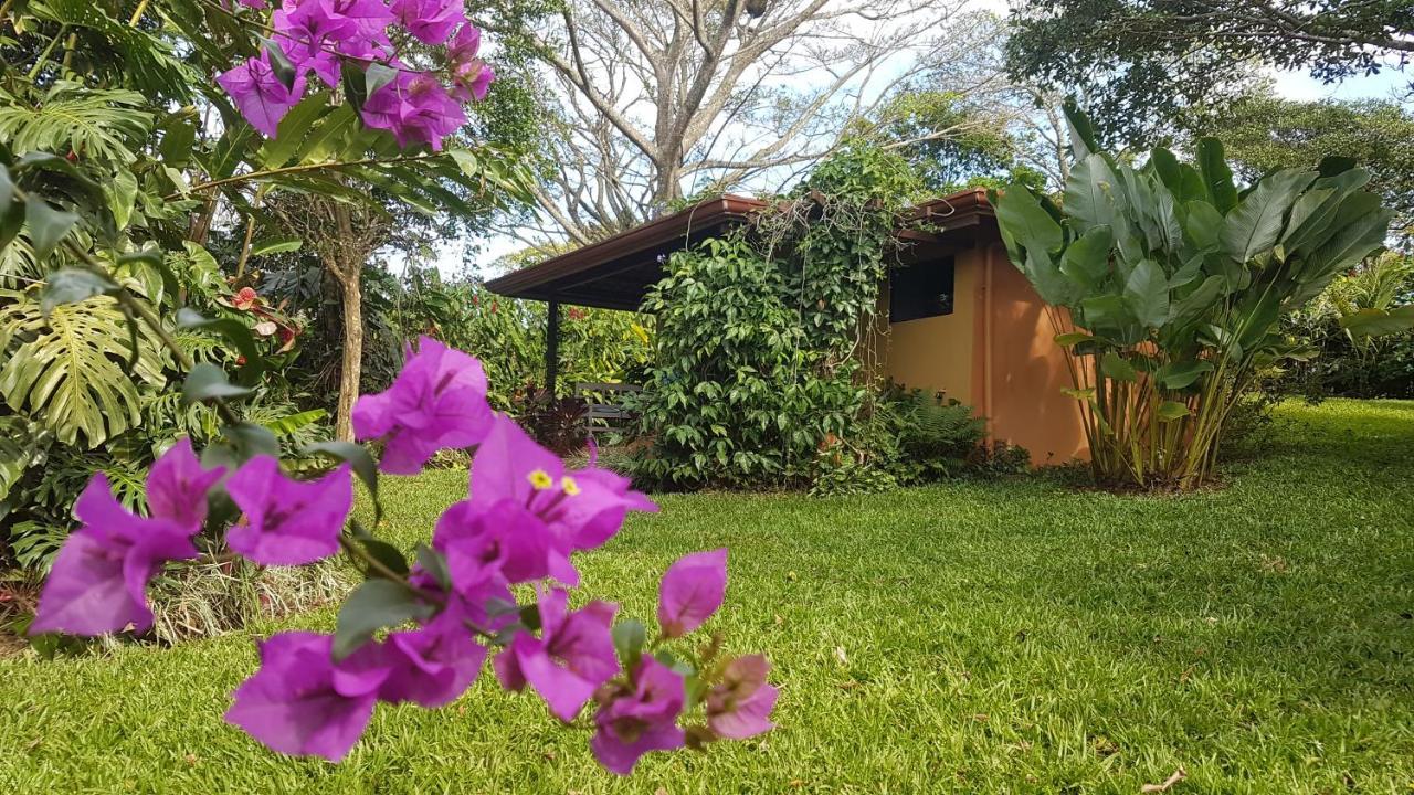 Tacacori Ecolodge Alajuela Exteriér fotografie