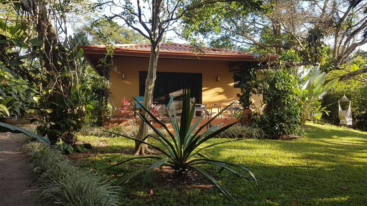Tacacori Ecolodge Alajuela Exteriér fotografie
