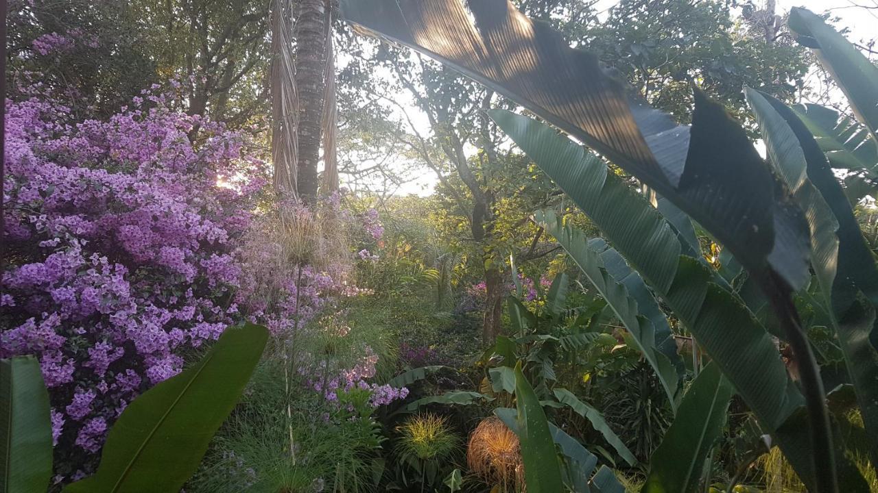 Tacacori Ecolodge Alajuela Exteriér fotografie