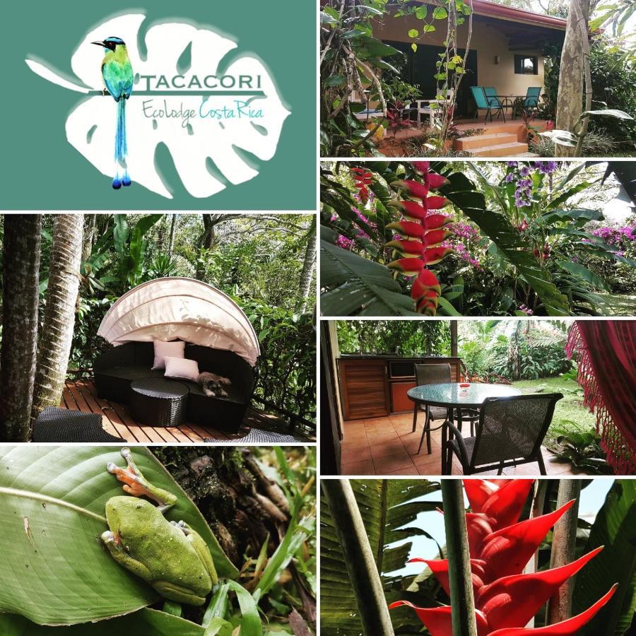Tacacori Ecolodge Alajuela Exteriér fotografie