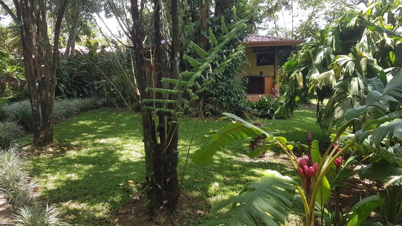 Tacacori Ecolodge Alajuela Exteriér fotografie