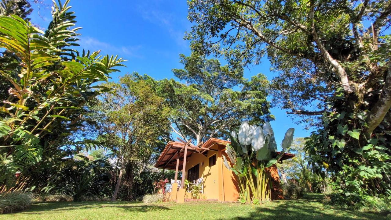 Tacacori Ecolodge Alajuela Exteriér fotografie