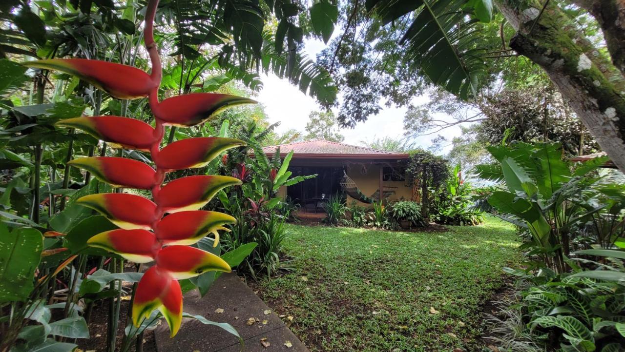 Tacacori Ecolodge Alajuela Exteriér fotografie