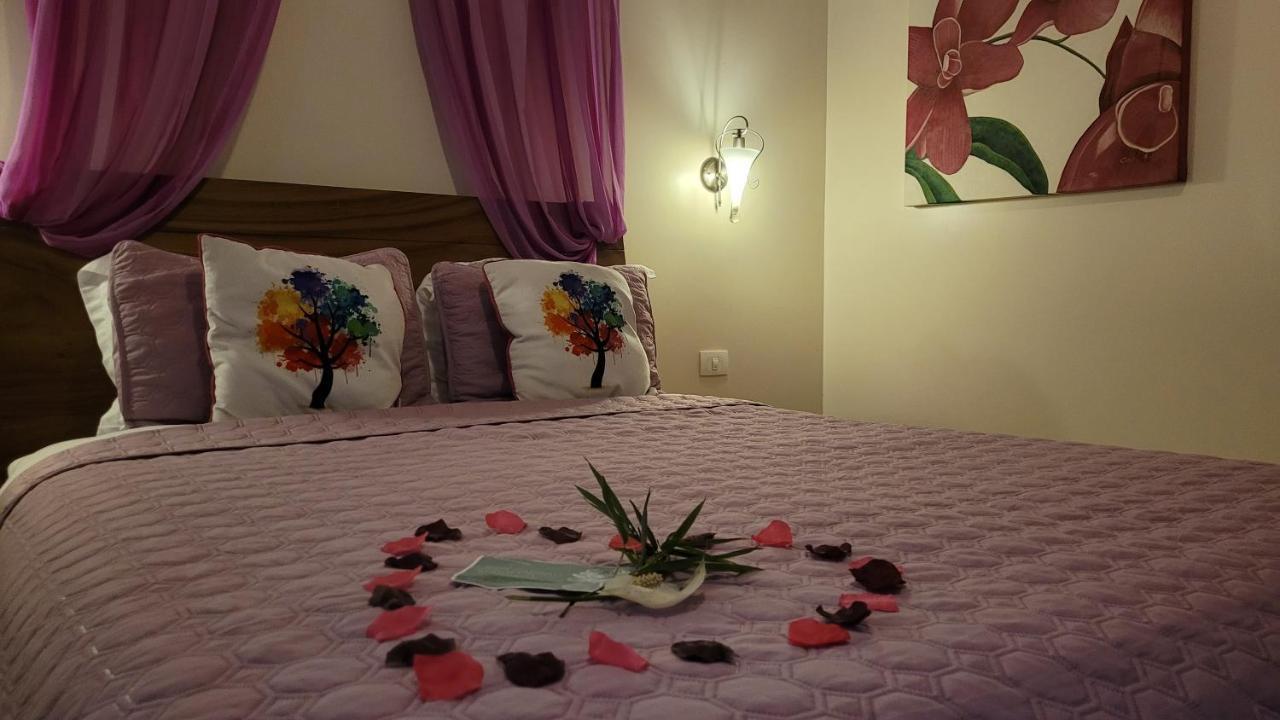 Tacacori Ecolodge Alajuela Exteriér fotografie