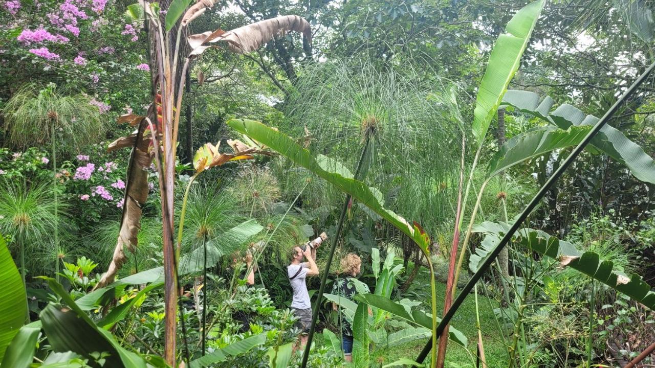 Tacacori Ecolodge Alajuela Exteriér fotografie