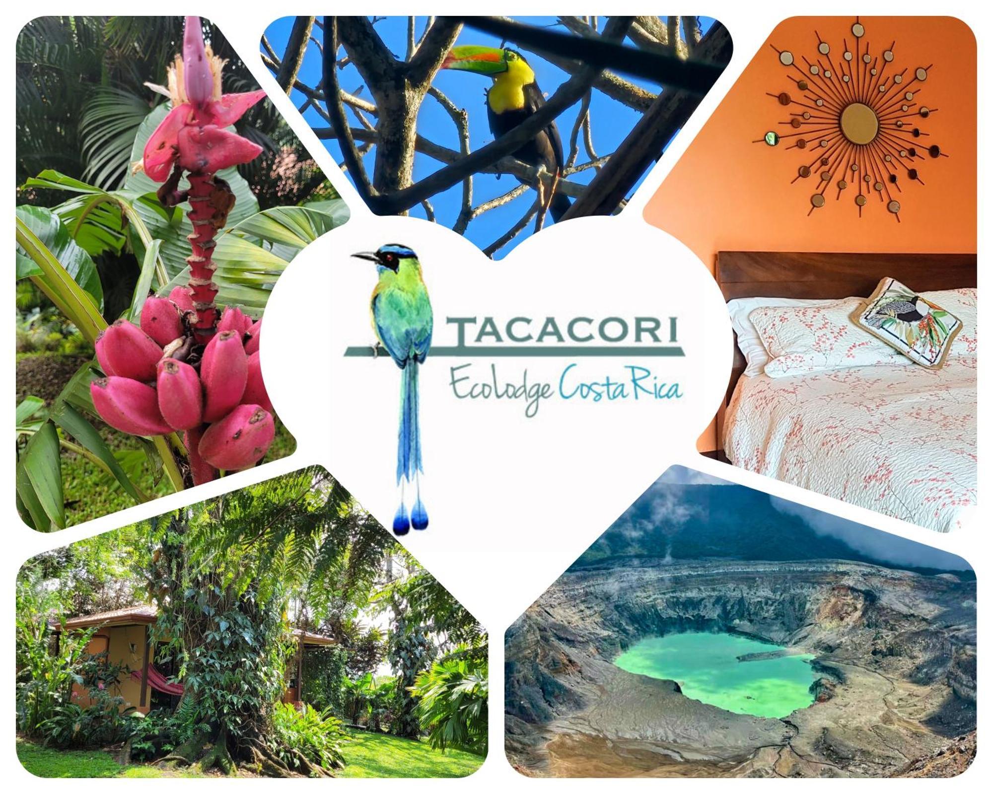 Tacacori Ecolodge Alajuela Exteriér fotografie
