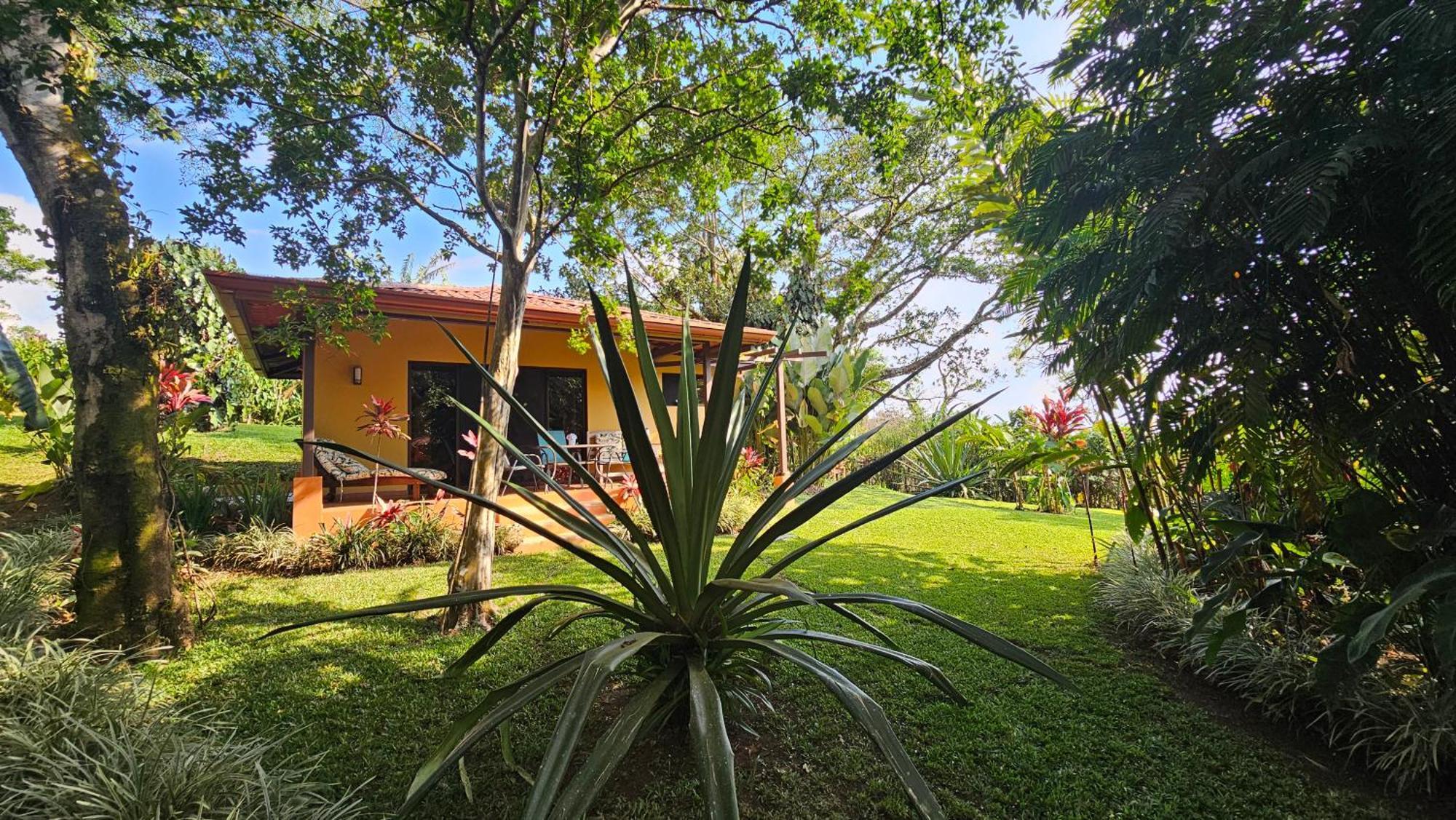 Tacacori Ecolodge Alajuela Exteriér fotografie