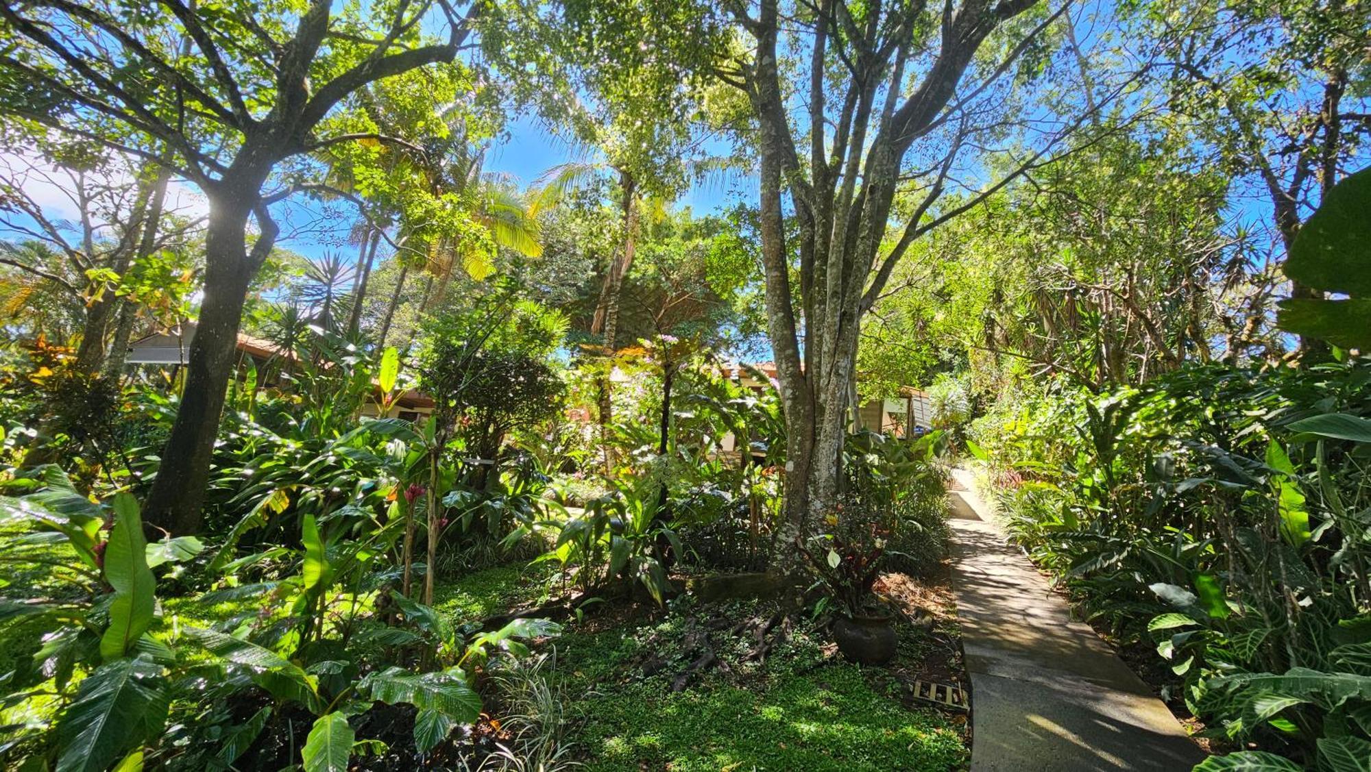 Tacacori Ecolodge Alajuela Exteriér fotografie