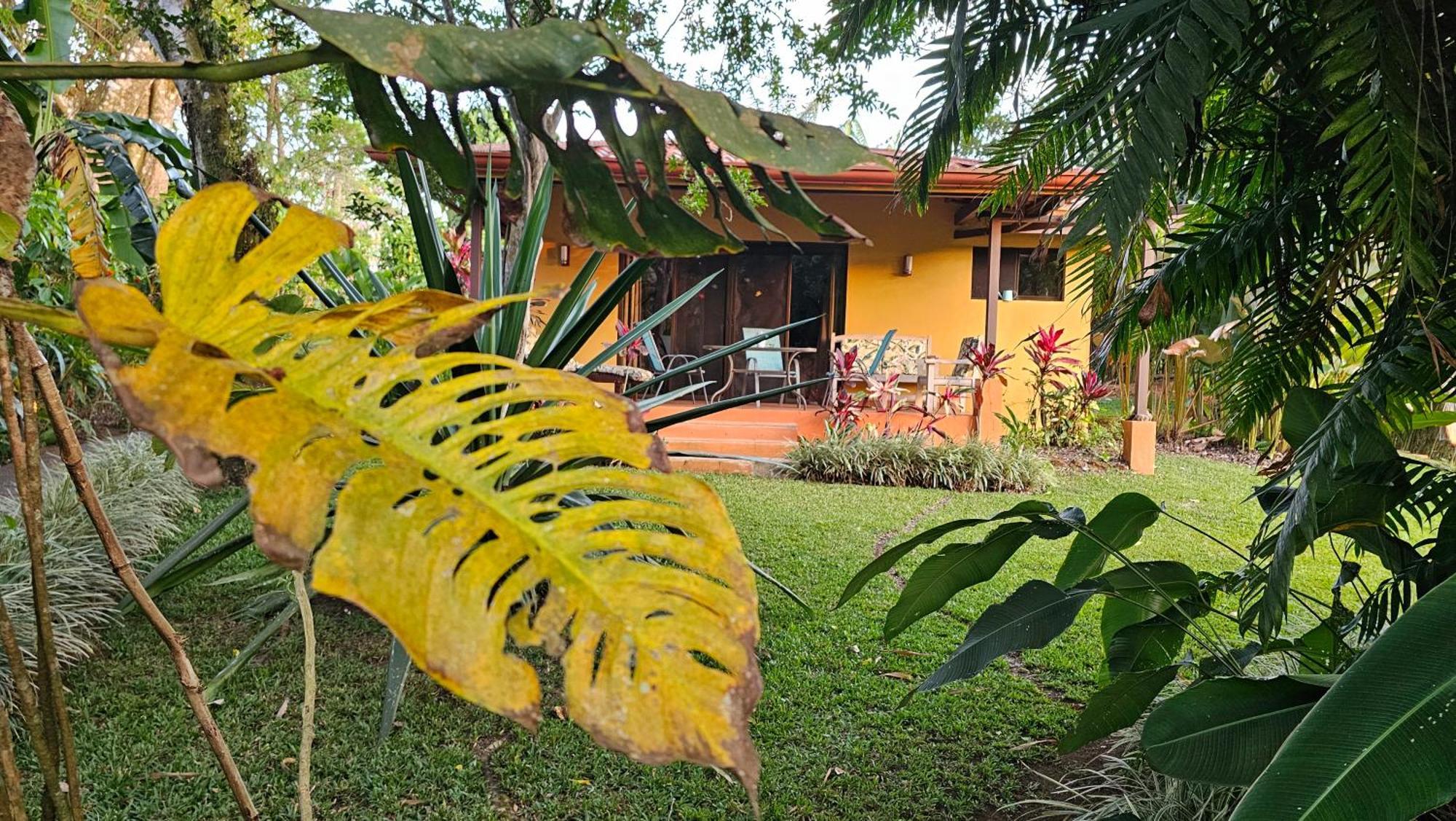 Tacacori Ecolodge Alajuela Exteriér fotografie
