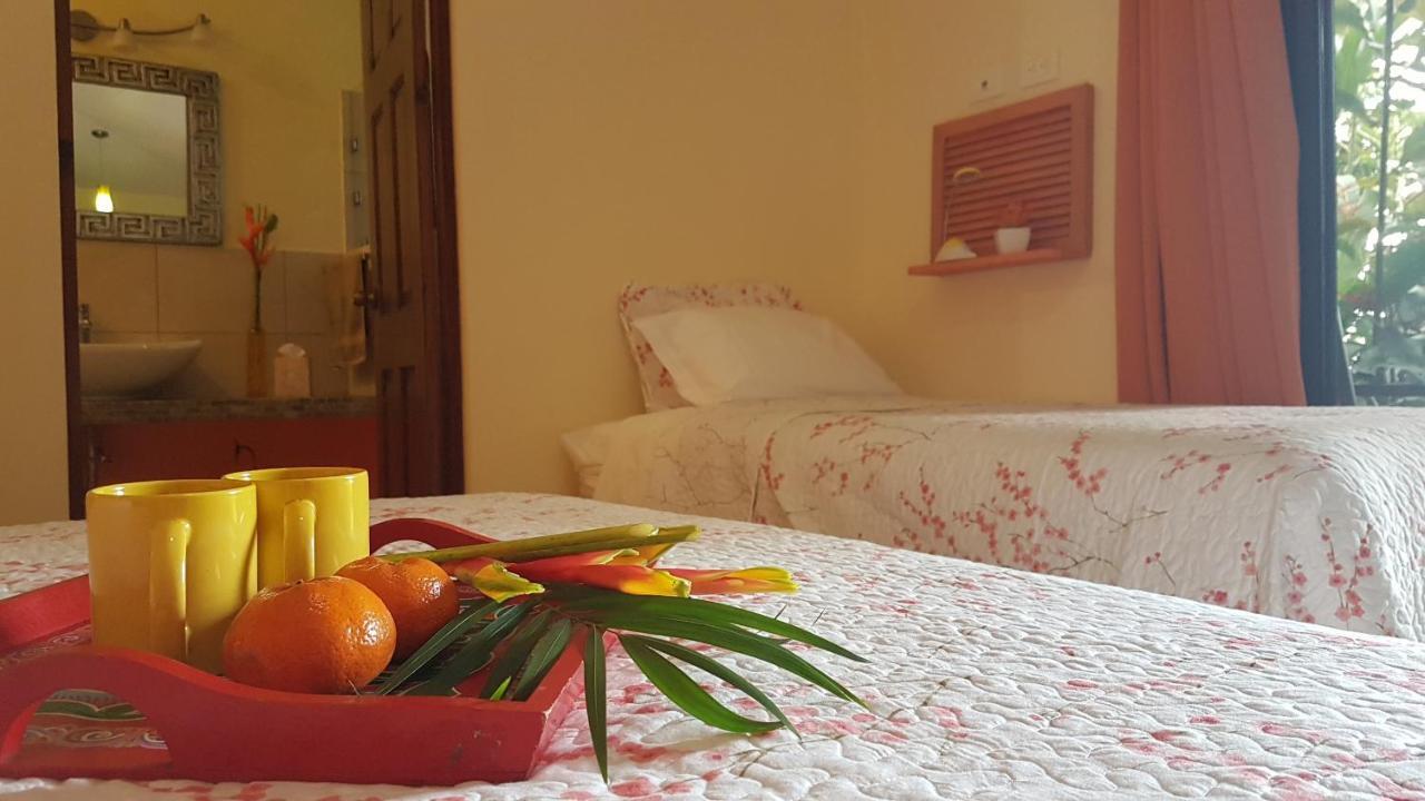 Tacacori Ecolodge Alajuela Exteriér fotografie